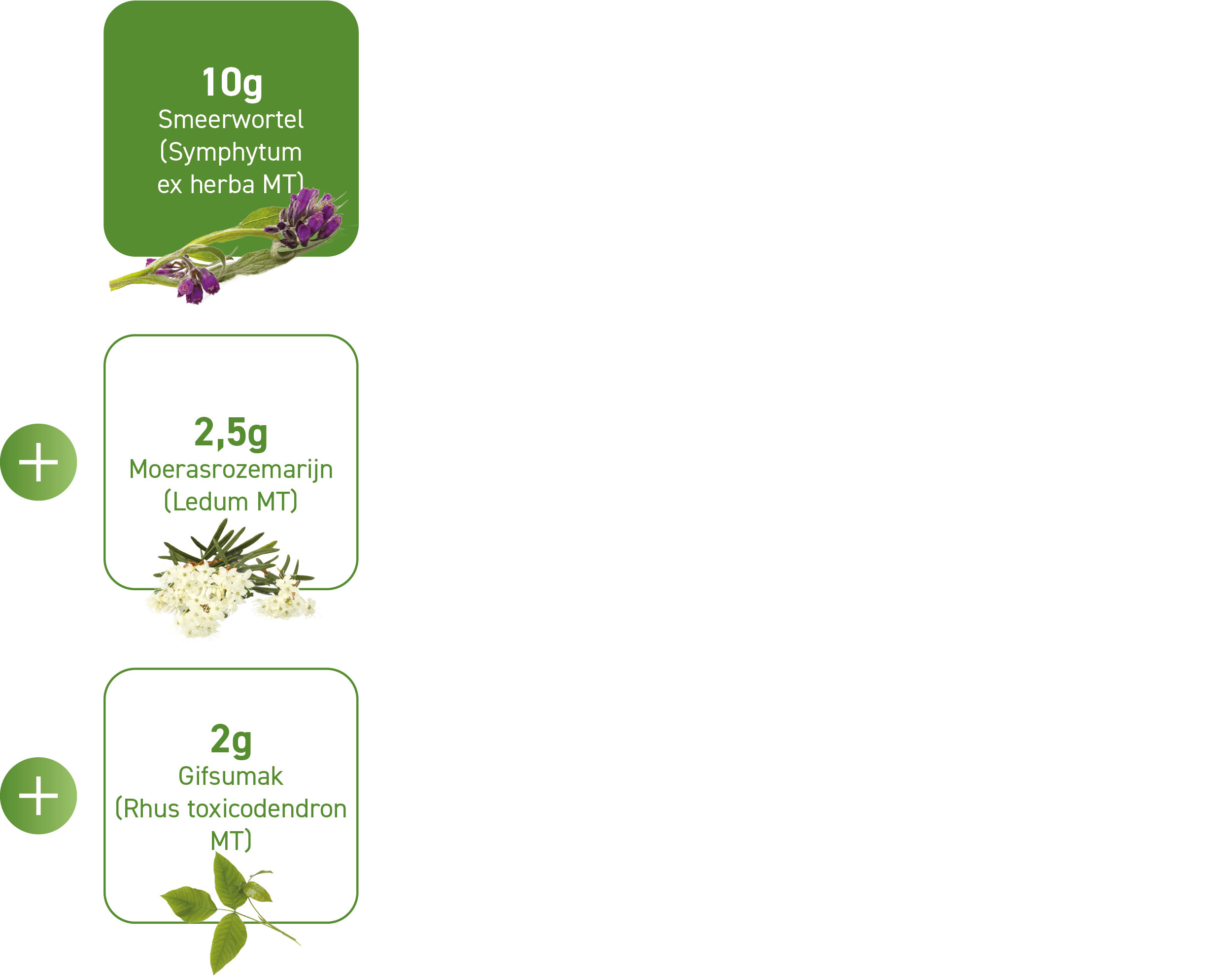 De werkzame stoffen per 100 g Flexiflor® gel: 10g smeerwortel, 2,5g moerasrozemarijn en 2g gifsumak